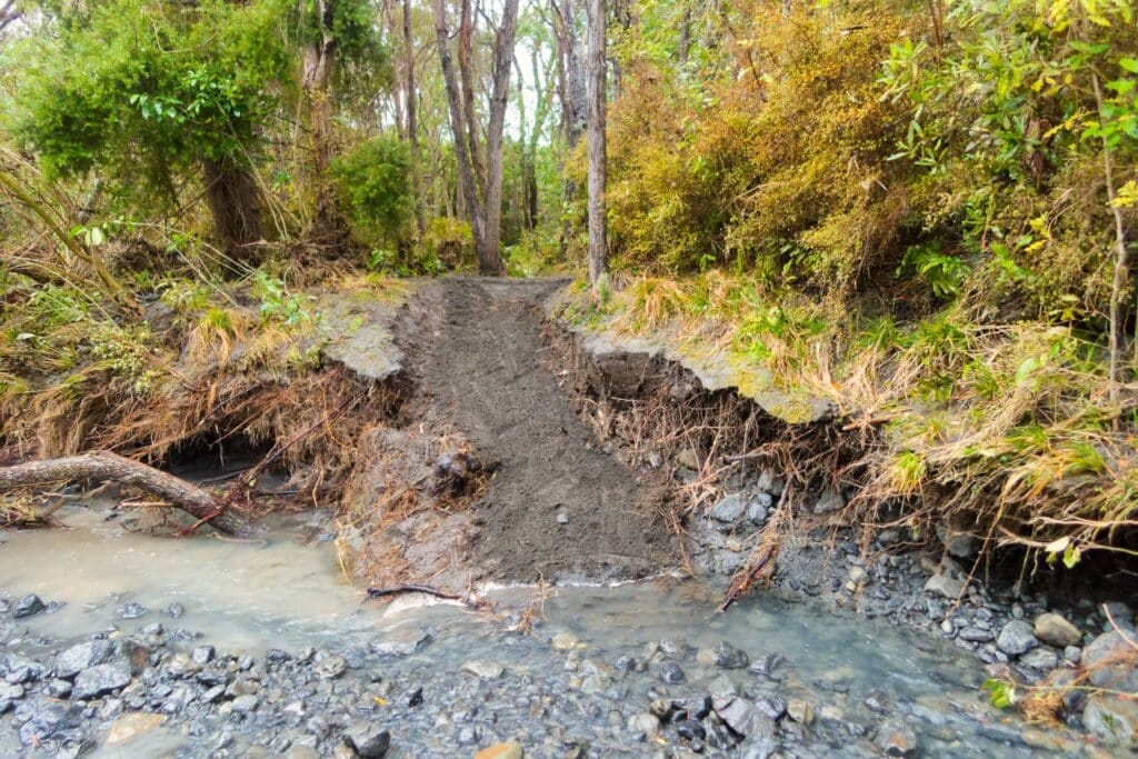 Muddy dirt path along a rocky riverbank with dense trees and green foliage side.